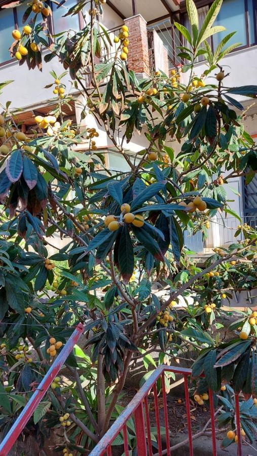 Casa Vacanze Il Nespolo Catania Bagian luar foto